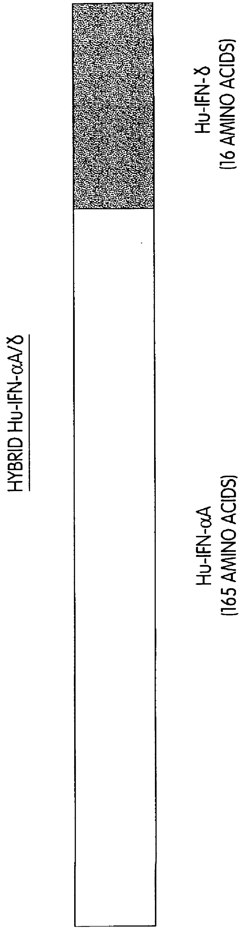 Phosphorylated fusion proteins