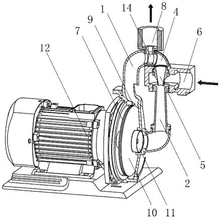 Low noise self-priming compound pump