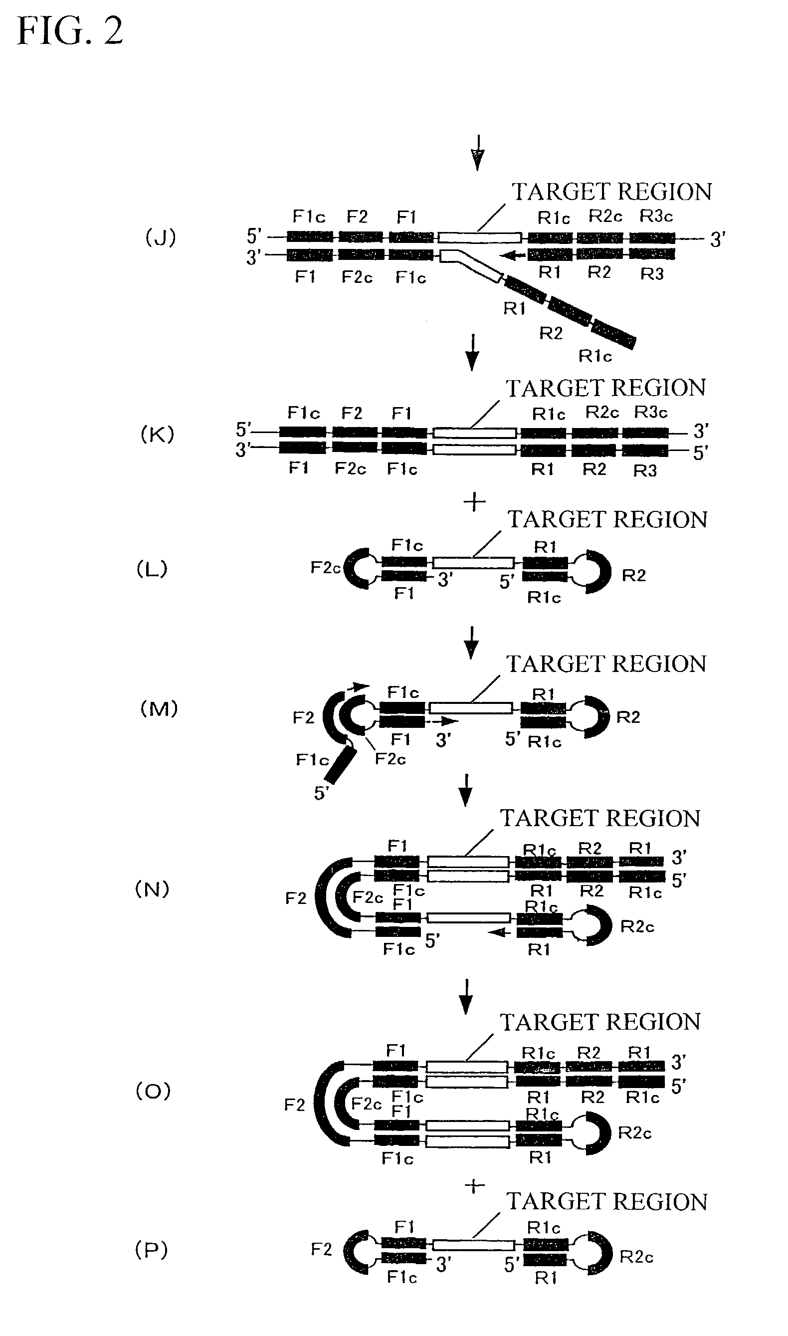 Method for detecting product of nucleic acid synthesizing reaction