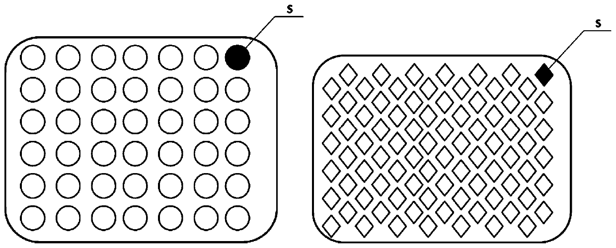 Pelvic floor biological patch and preparation method thereof