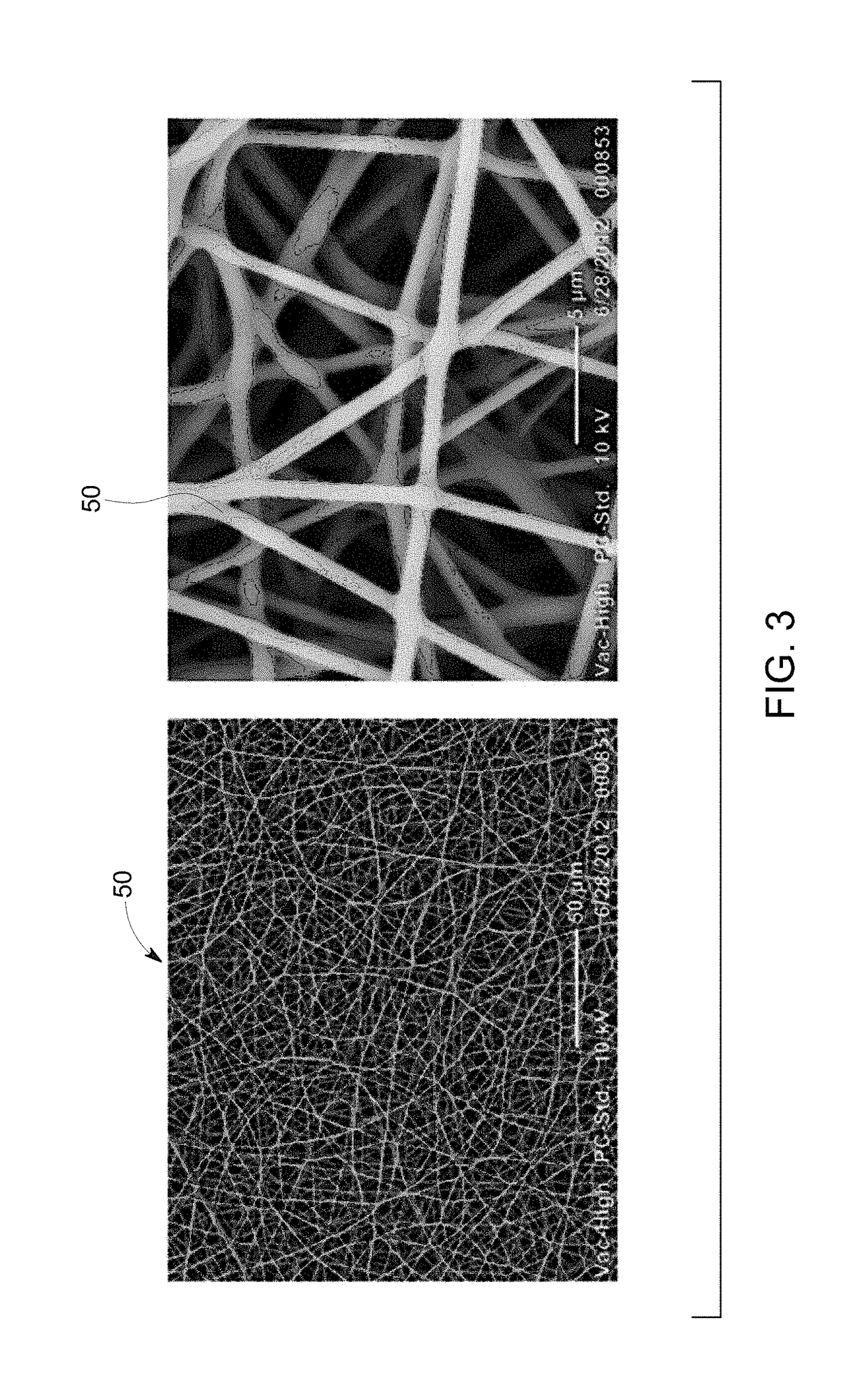 Electrospun fibers for protein stabilization and storage