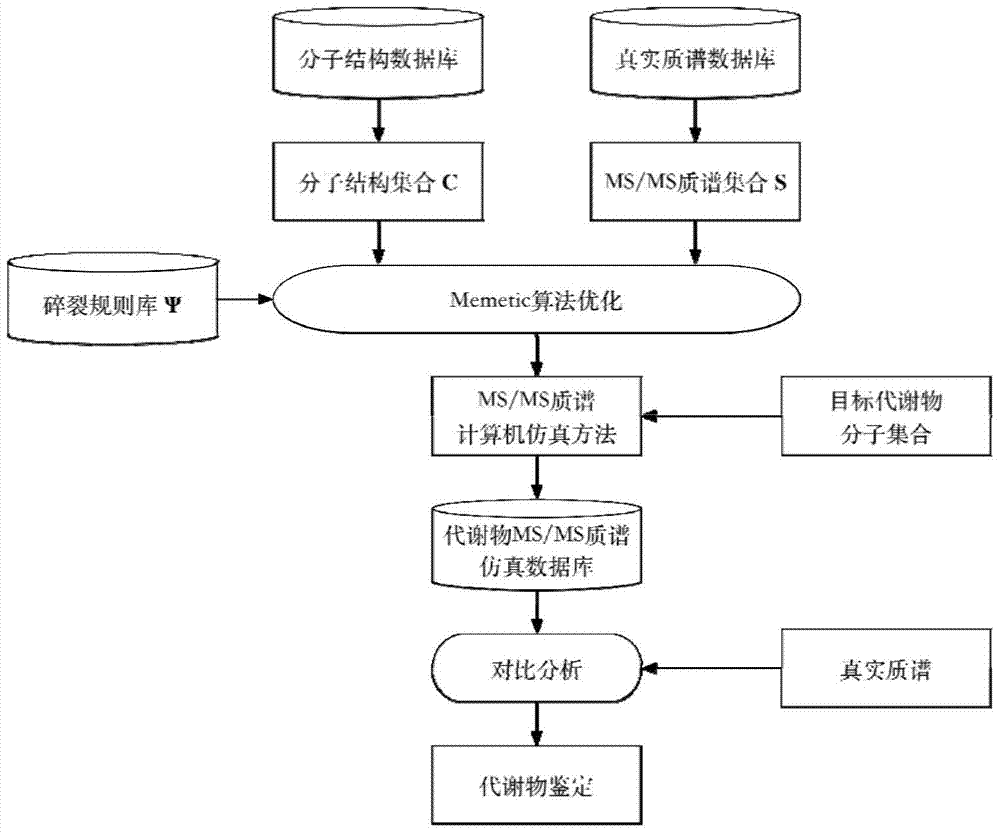 Computer Simulation Method of Metabolite MS/MS Mass Spectrometry