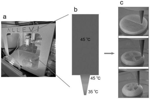 3D printing drug release capsules and preparation method and application thereof