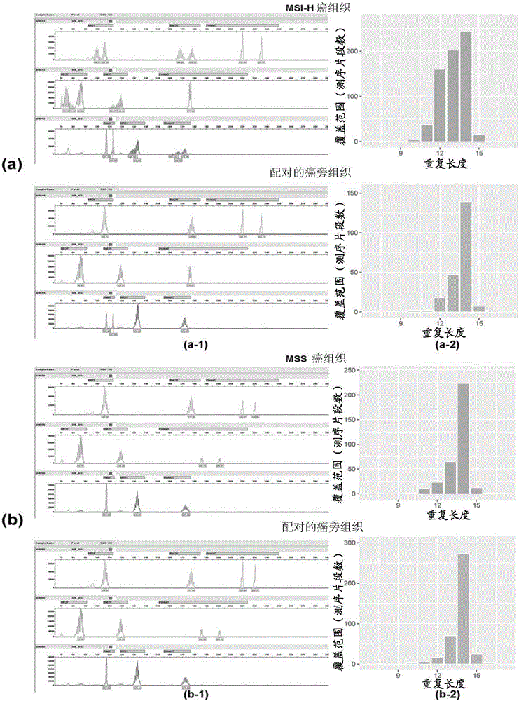 Method for simultaneously detecting microsatellite locus stability and genome change on basis of second generation sequencing