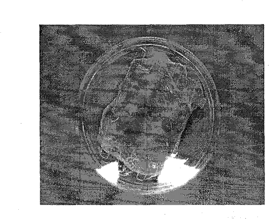 Anti-infection bio-derived hernia and body wall repair material, preparation and application thereof