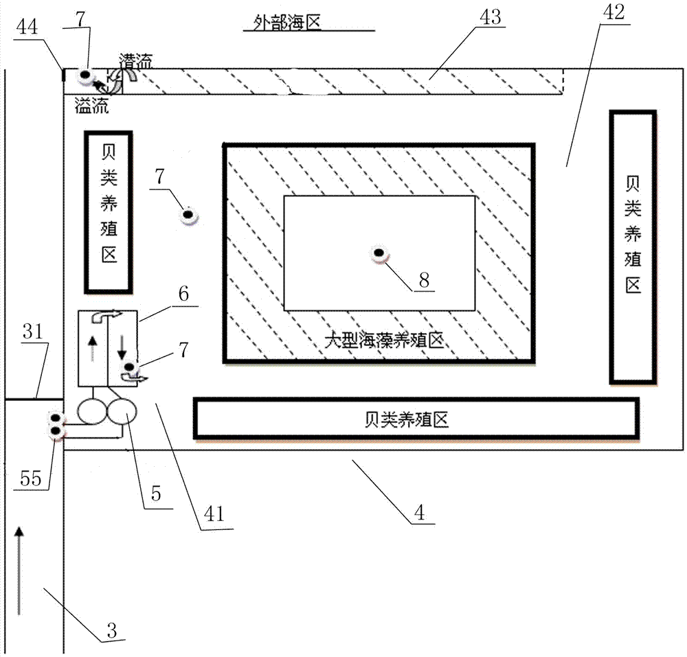 Land-based pond system with functions of purifying breeding drained water and breeding