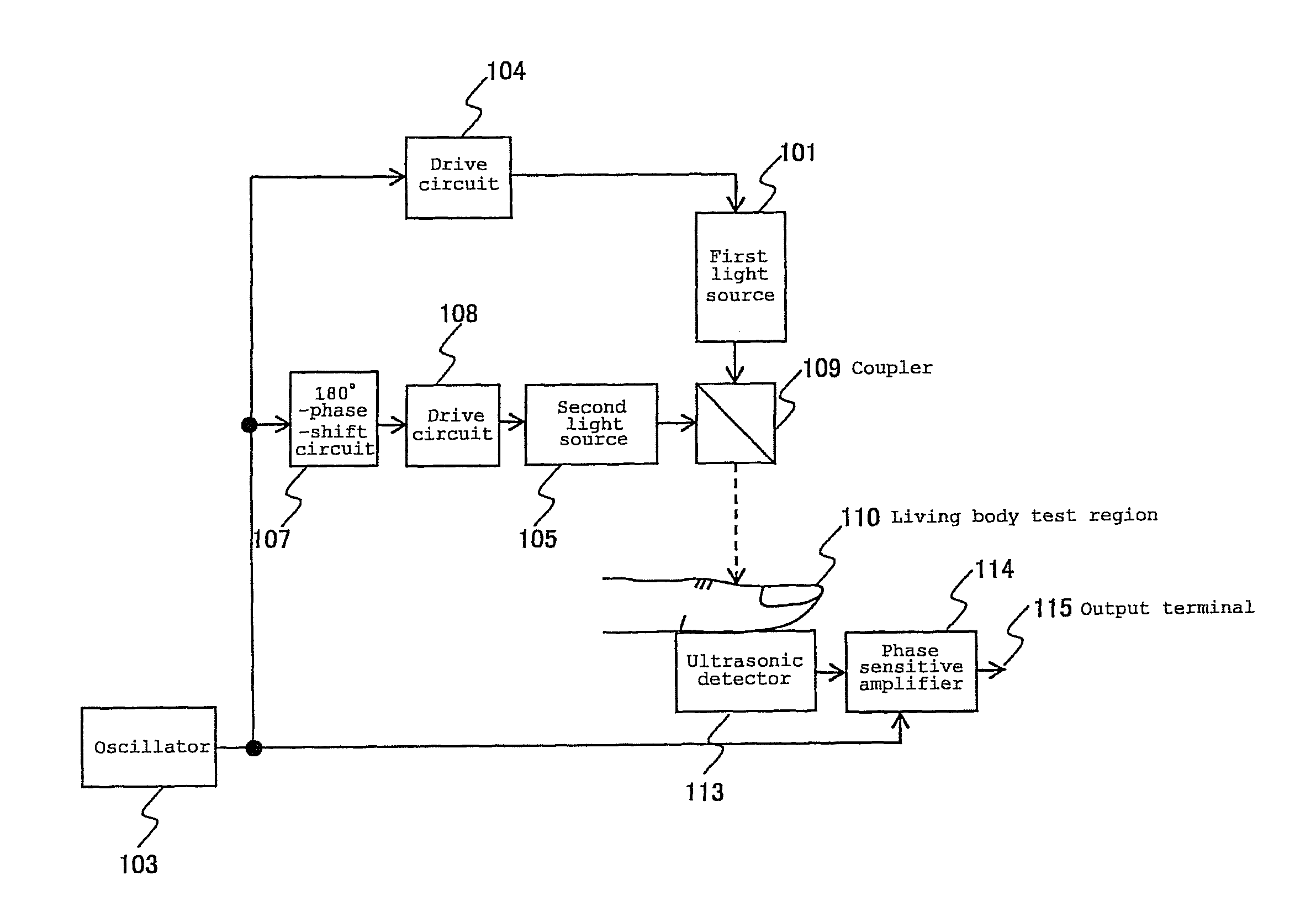 Constituent concentration measuring apparatus and constituent concentration measuring apparatus controlling method