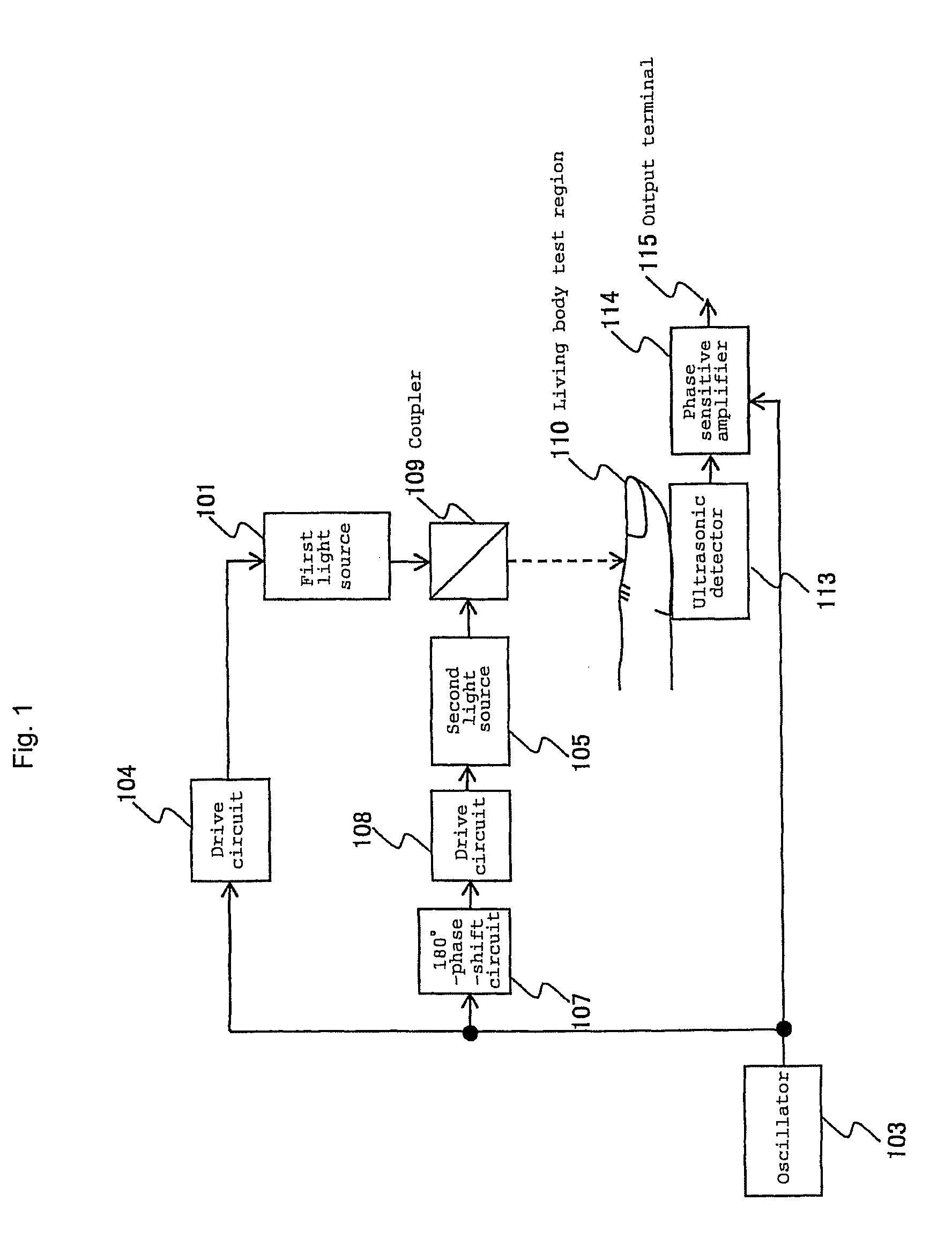 Constituent concentration measuring apparatus and constituent concentration measuring apparatus controlling method