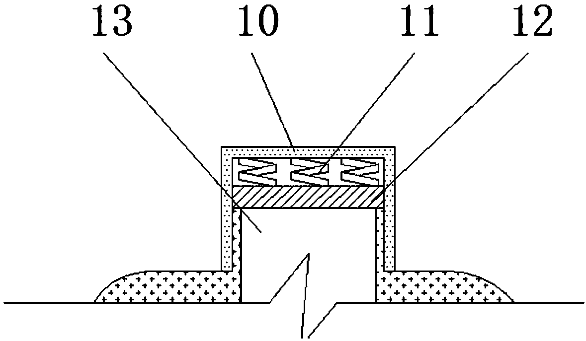 Polyphosphoric acid storage device with damp-proof effect