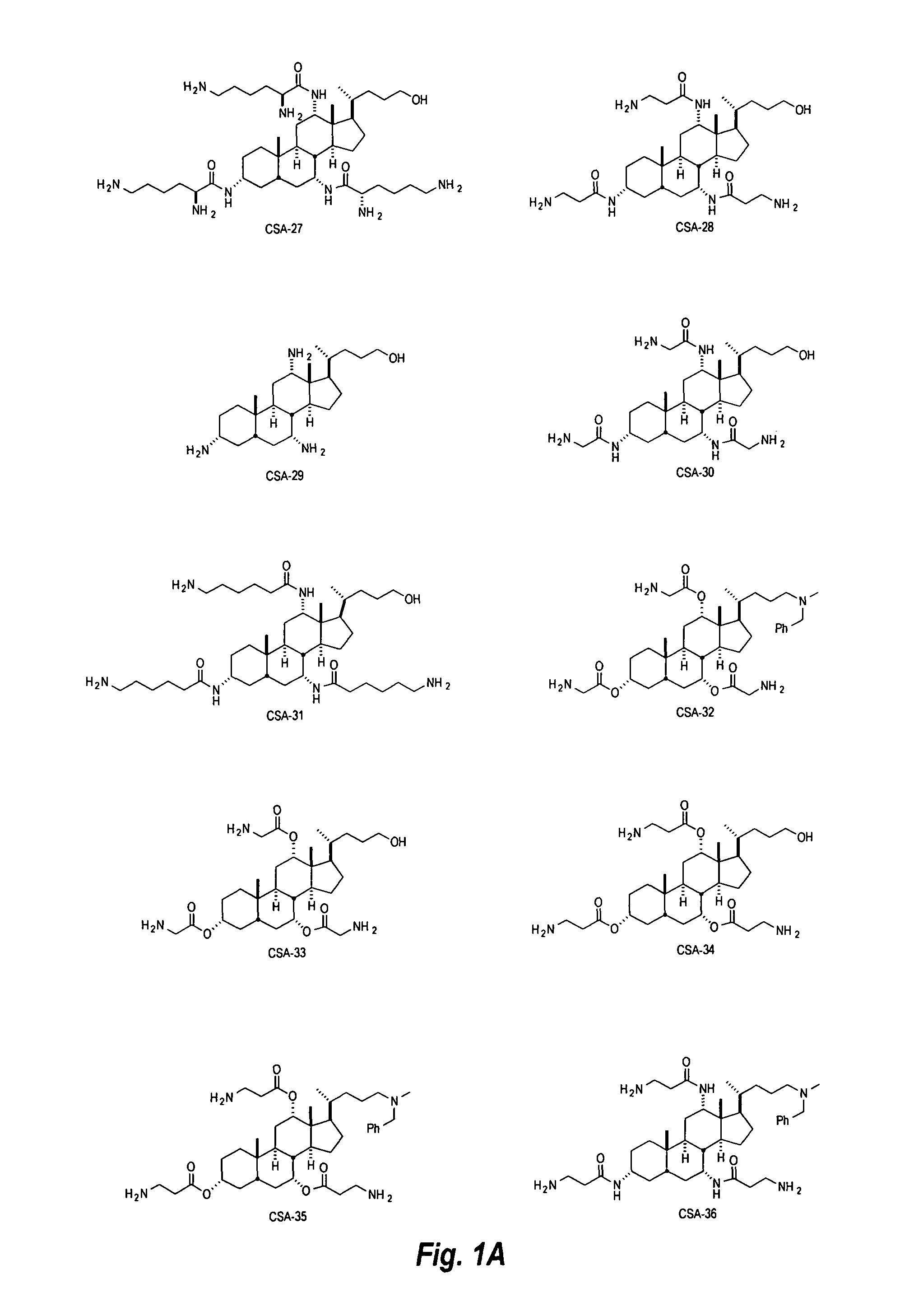 Aerosols incorporating ceragenin compounds and methods of use thereof
