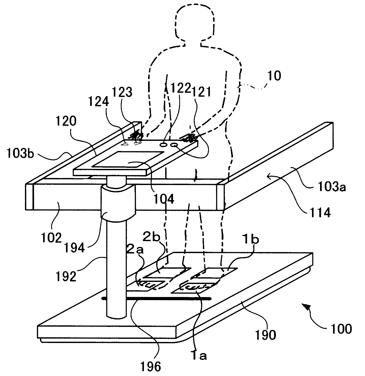 Body composition measuring apparatus