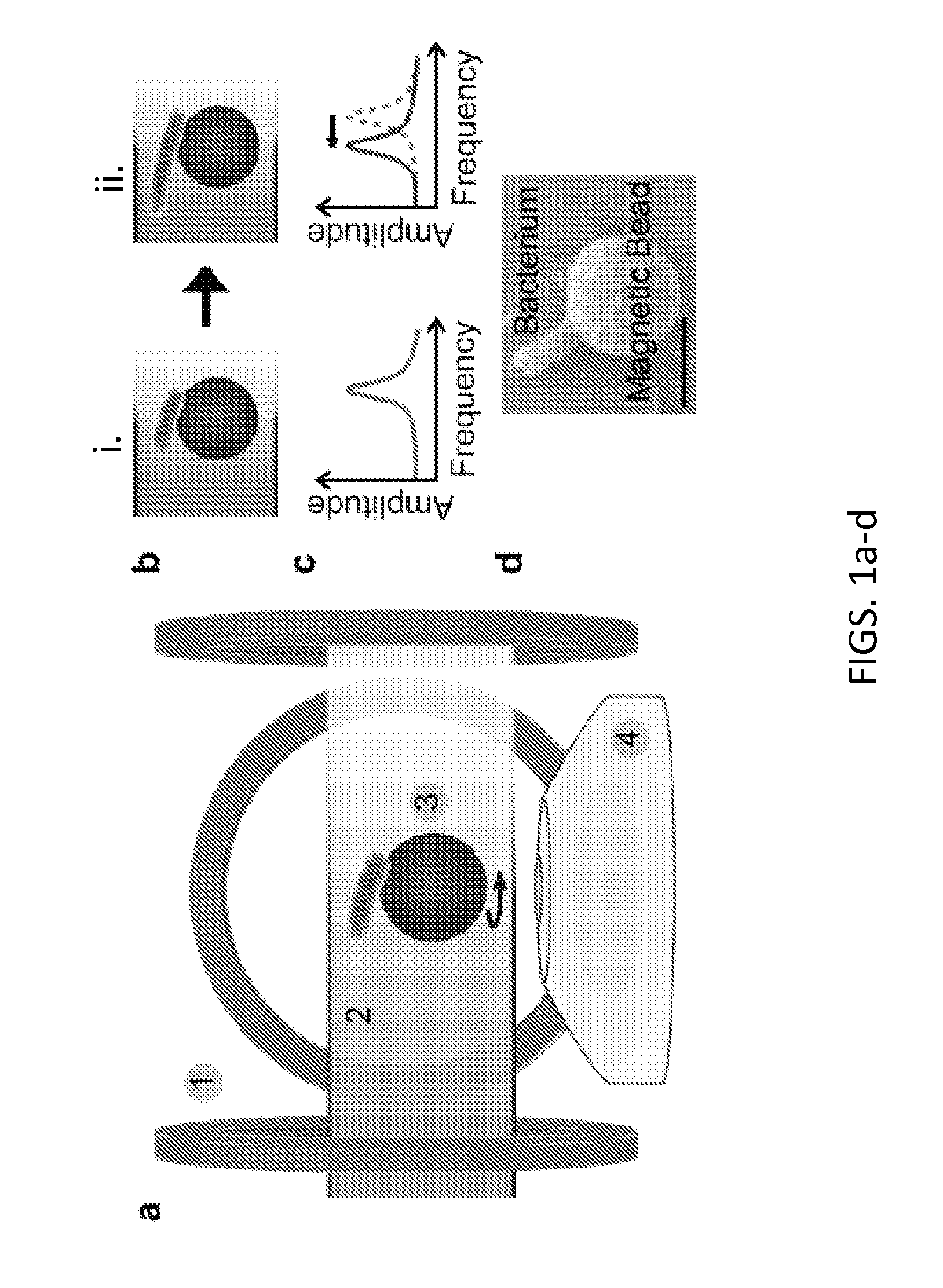 Asynchronous Magnetic Bead Rotation Sensing Systems and Methods