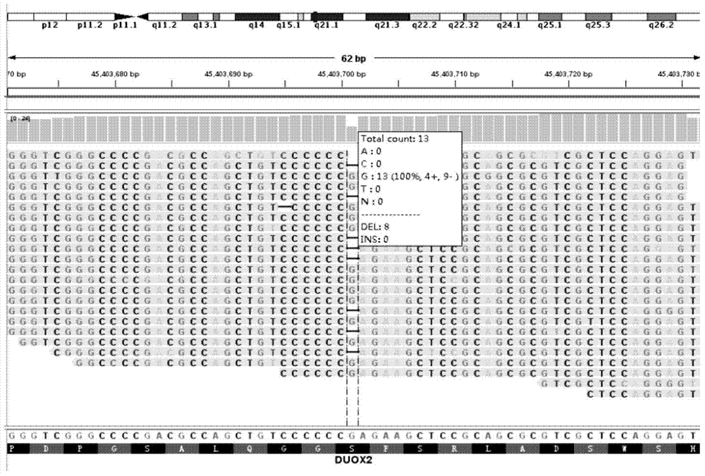 Detection probe for DUOX2 gene mutation and detection method thereof