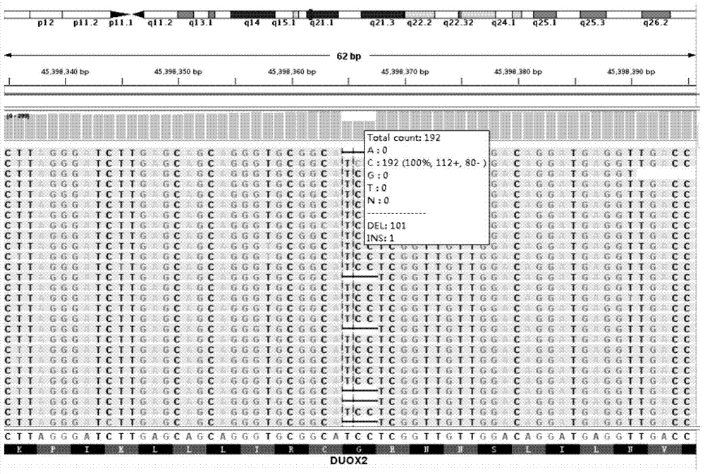 Detection probe for DUOX2 gene mutation and detection method thereof