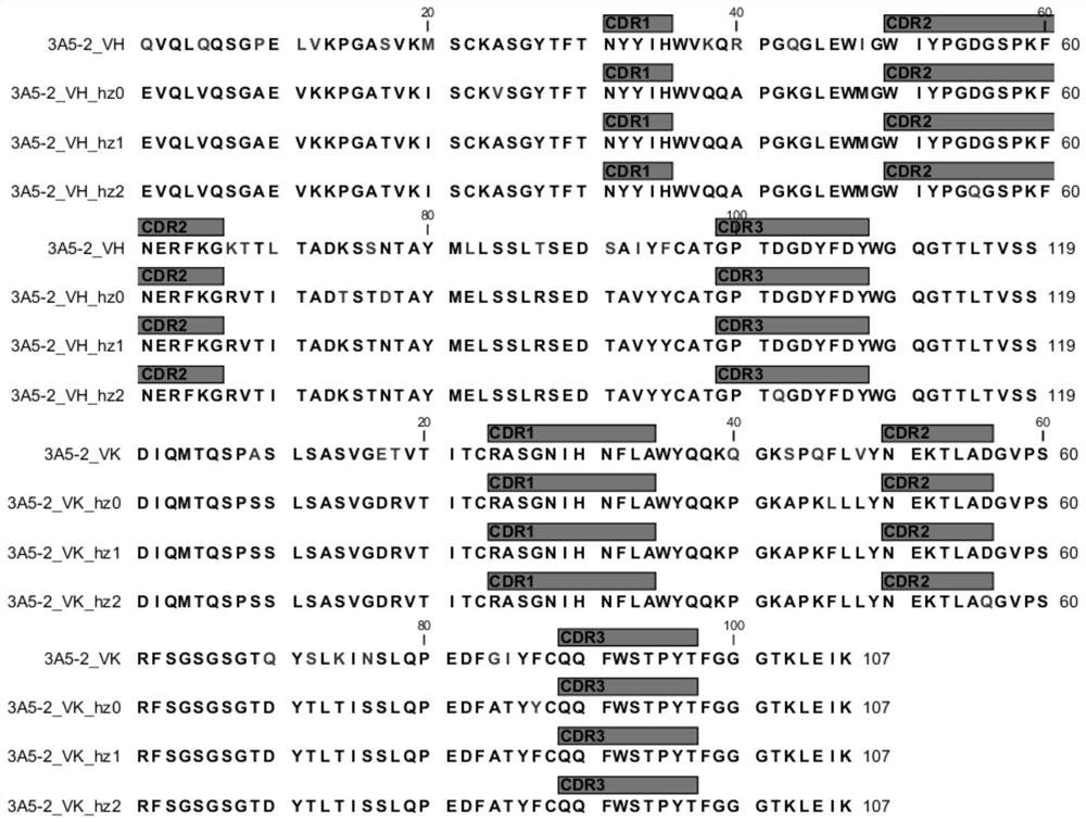 Antibody aiming at chemokine CX3CL1 and application thereof