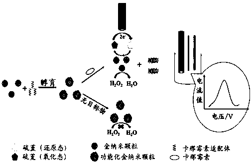 An electrochemical detection method for the detection of kanamycin residues based on nucleic acid aptamers and nano-mimetic enzymes