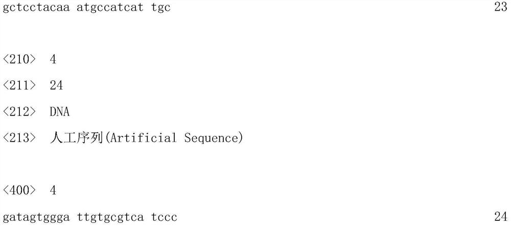 DNA extraction reagent, and kit and method for detecting transgenosis of corn kernels