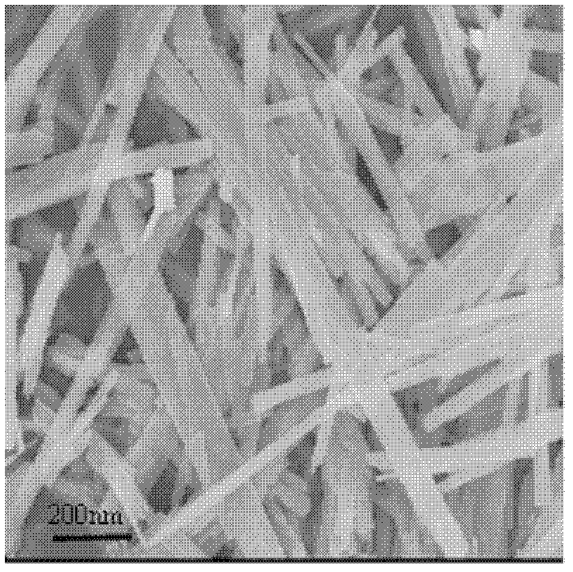 Preparation method of cadmium tungstate monocrystal nanoribbon