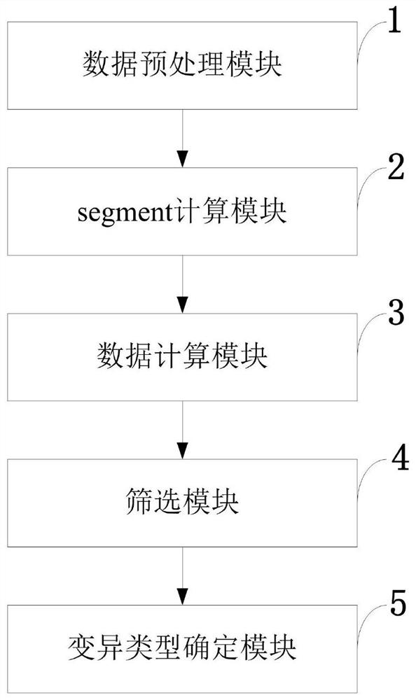 Copy number variation detection method and system, storage medium and computer equipment