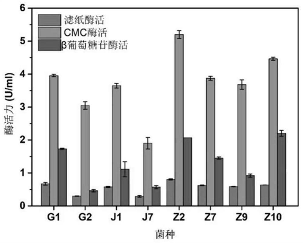 High-temperature-resistant high-yield cellulase bacillus subtilis and application thereof