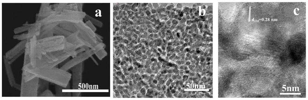 A nico-based  <sub>2</sub> o  <sub>4</sub> Electrochemiluminescence Immunosensor for Thermosensitized Thyroglobulin in Nanosheets