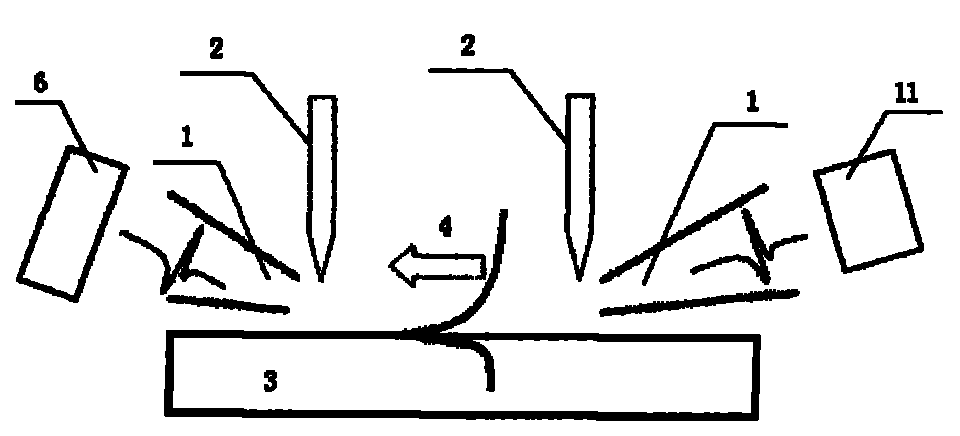 Terahertz spectral analysis device and detection method for biofilm