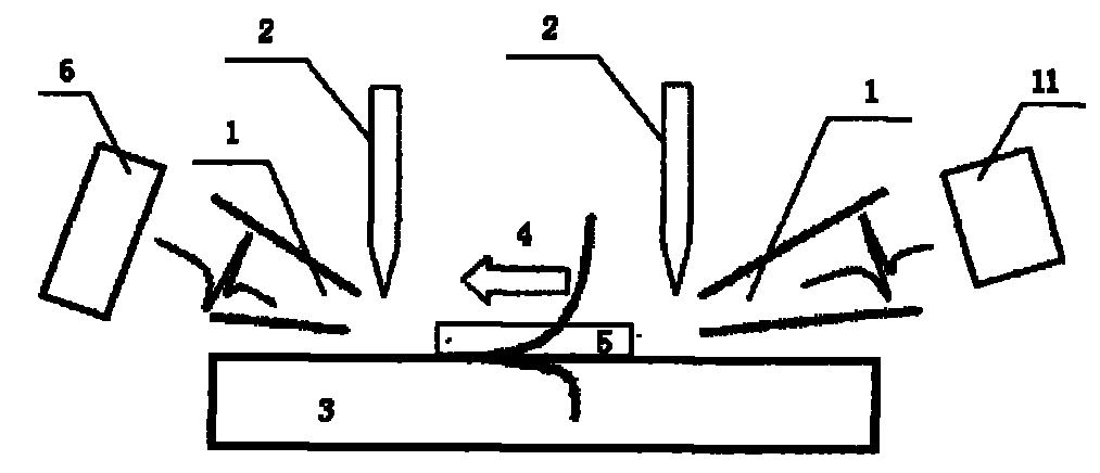 Terahertz spectral analysis device and detection method for biofilm