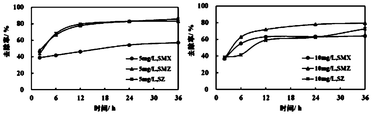 Burkholderia sp. Y-4 and application thereof to adsorption of heavy metal ions and sulfamido antibiotics