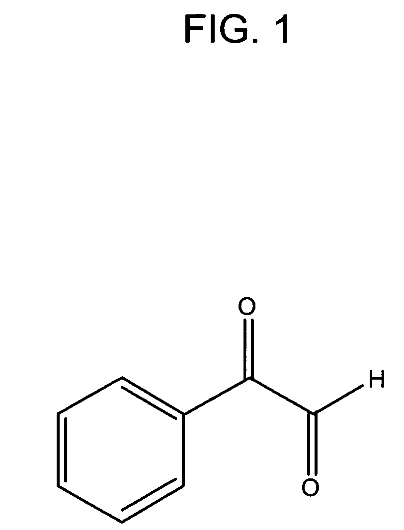 Methods for detecting asymmetric dimethylarginine in a biological sample