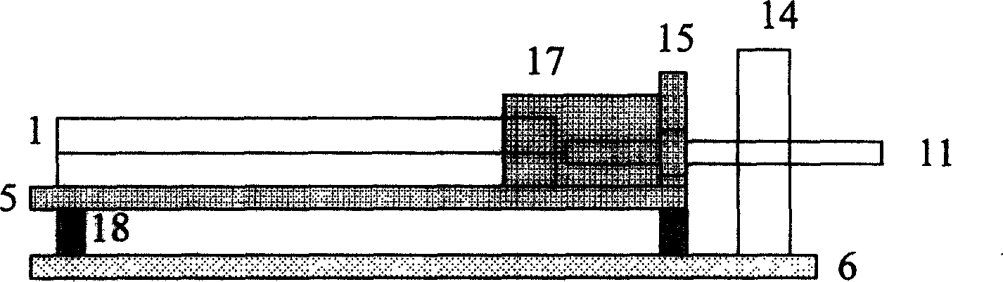 Electrochemical detection method and device of integrated in chip capillary electrophoresis