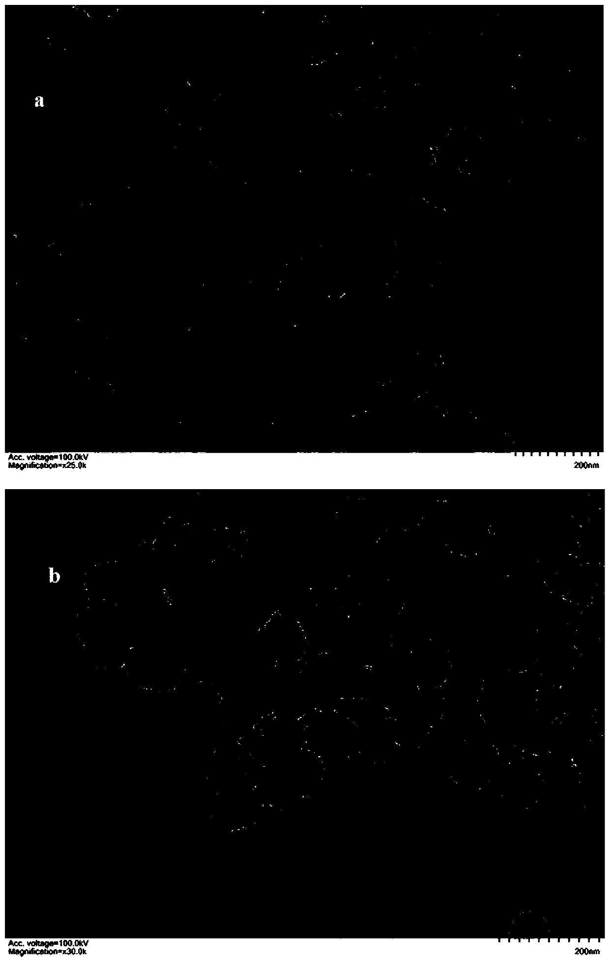 Positive charge nanogold coupling antibody wrapped by mesoporous silica as well as preparation method and application thereof