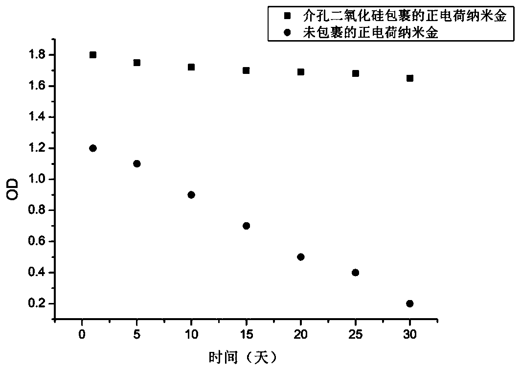 Positive charge nanogold coupling antibody wrapped by mesoporous silica as well as preparation method and application thereof