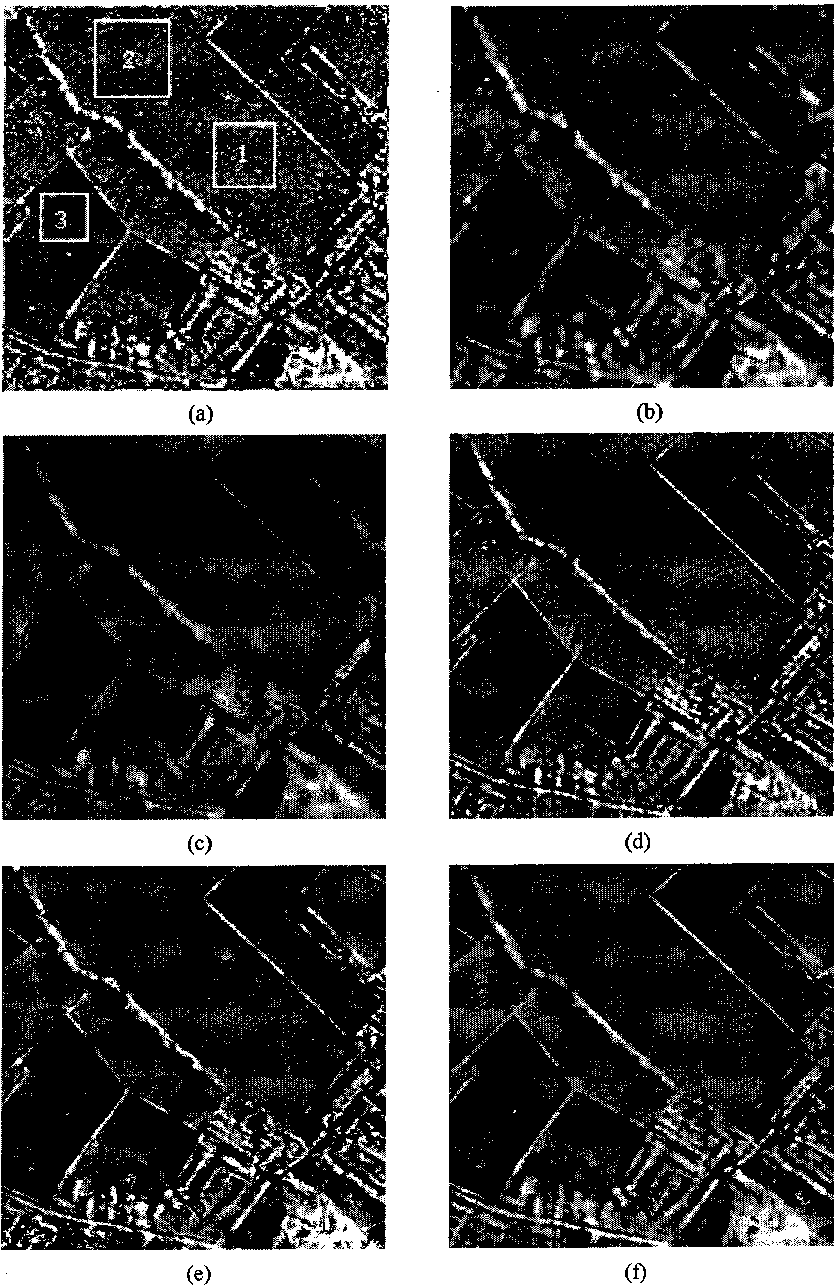 SAR image speckle suppression method based on second generation curvilinear wave transformation