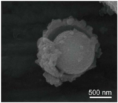 A core-shell cos2@ng nanocomposite material and its preparation and application