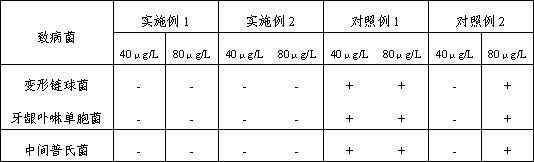 Propolis toothpaste and preparation method thereof