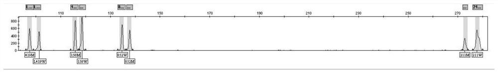 A kind of pkp2 gene mutation detection kit and its detection method