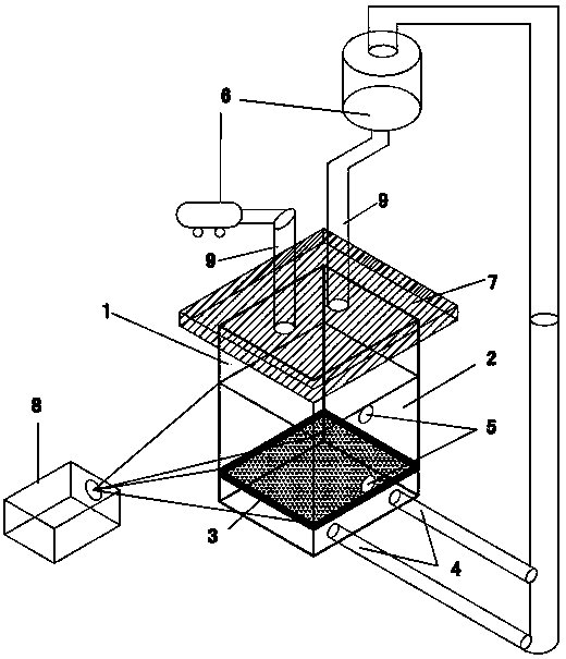 Model test device and test method for measuring soil body displacement under action of in-situ stress filed