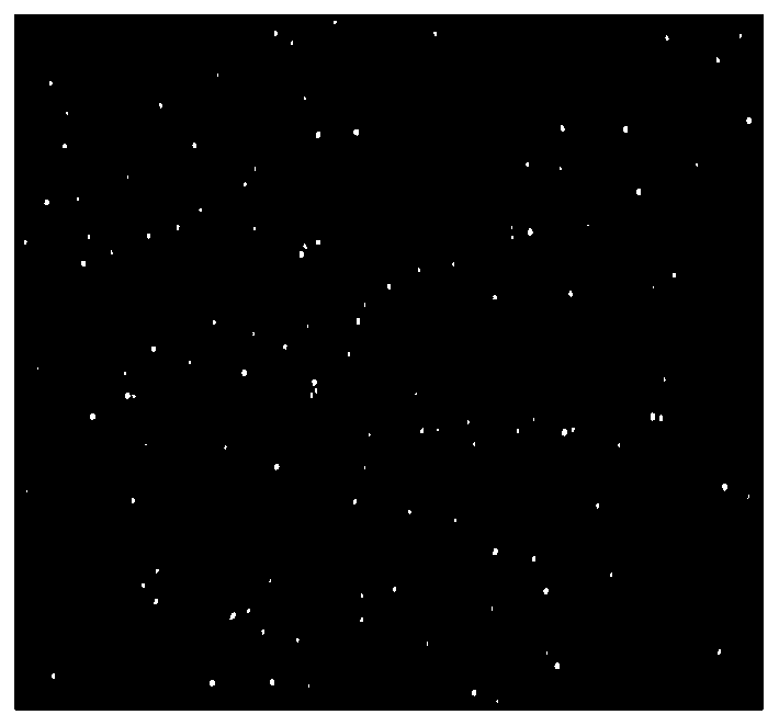Space-based starry sky background weak point target tracking method based on threshold separation cluster