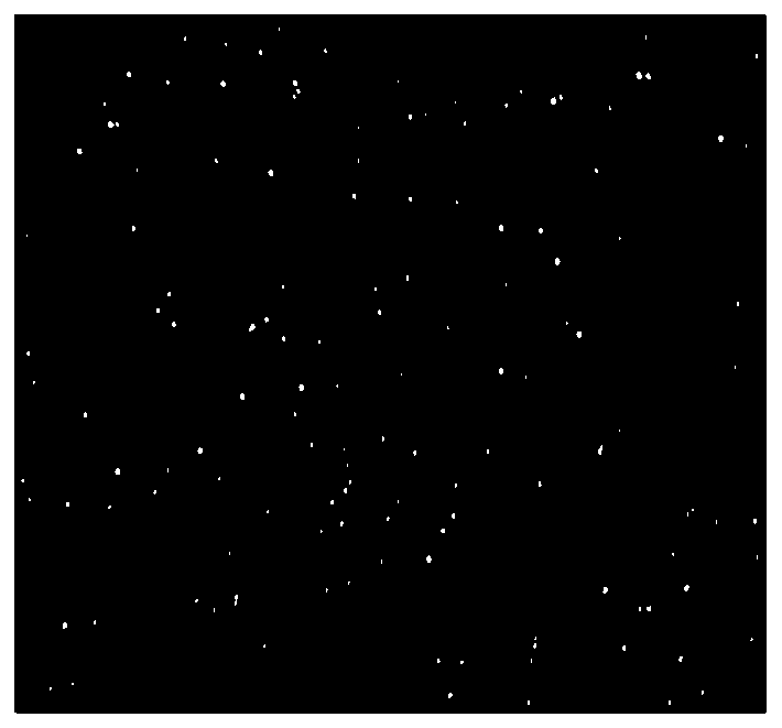 Space-based starry sky background weak point target tracking method based on threshold separation cluster