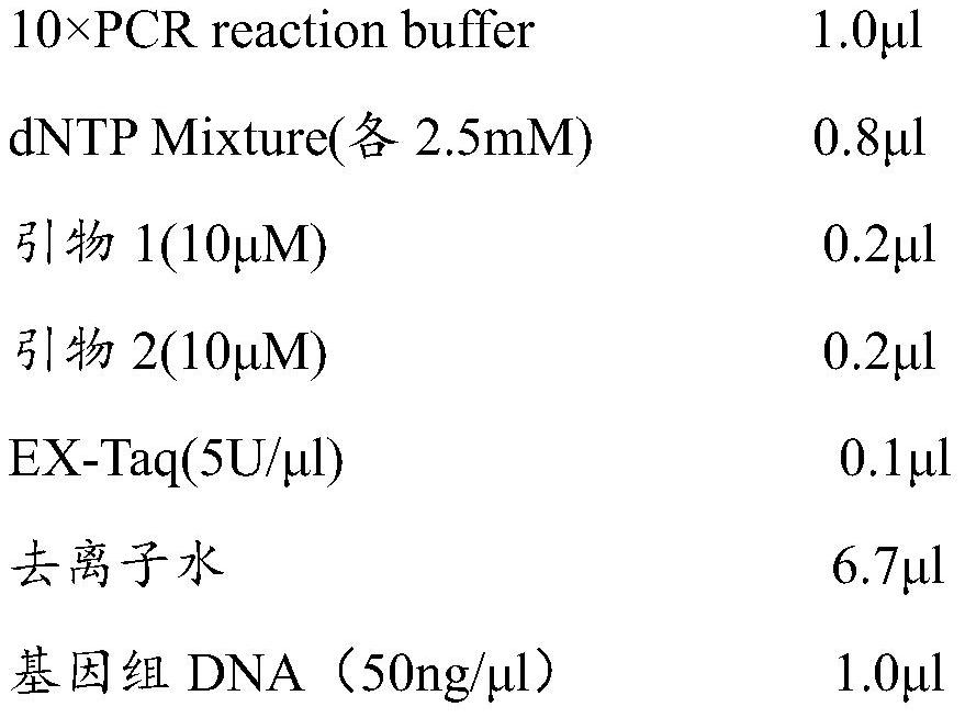 A molecular marker method for predicting and identifying chicken belly fat mass and its application