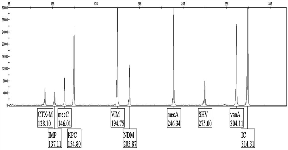Detection system for urinary tract infection pathogen drug resistance genes and kit and application thereof