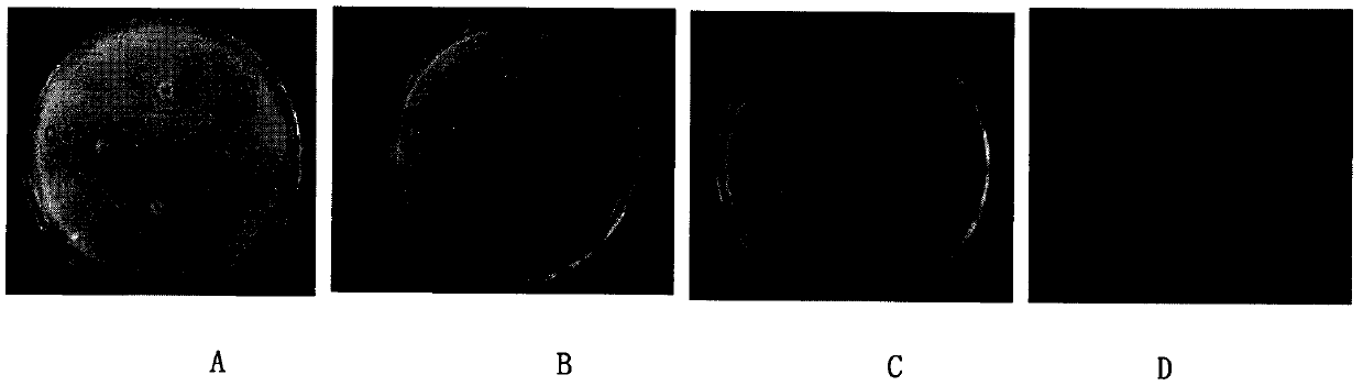 Nano-metal oxide-minocycline nano sustained-release gel as well as preparation method and application thereof