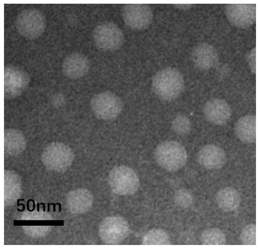 Oil-in-water Emulsion Mucosal Vaccine For Injection, And Preparation 