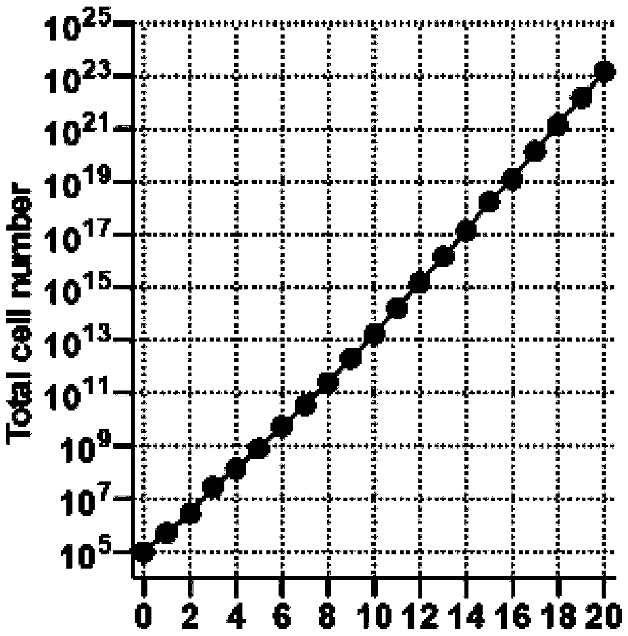 Cartilage progenitor cell culture medium and preparation method and application thereof