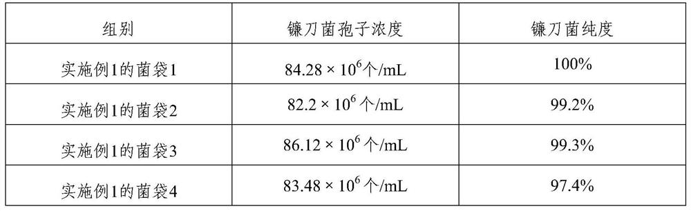 Inoculation and expanding propagation method of fusarium verticillatum