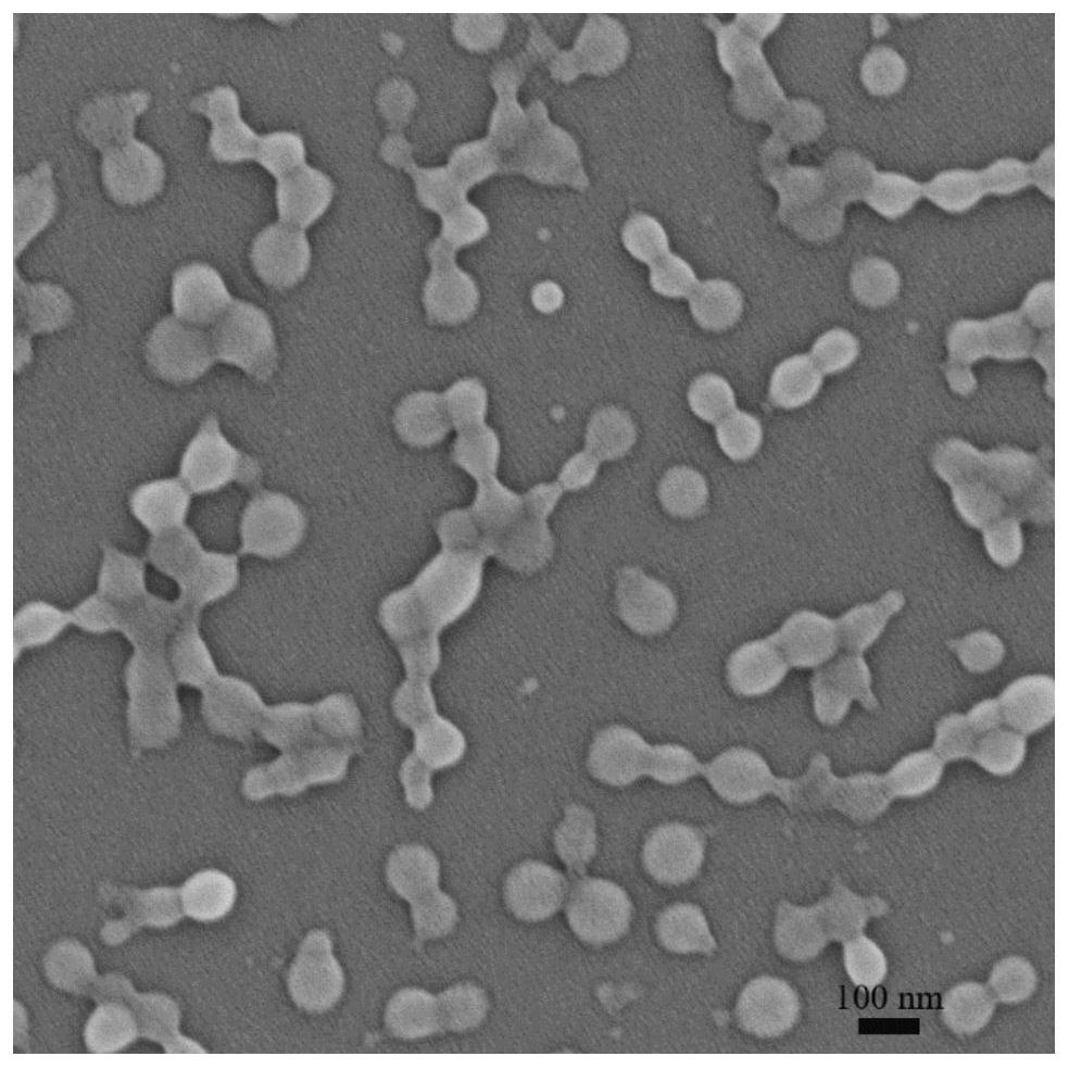 Aggregation-induced emission polymer nanoparticles as well as preparation method and application thereof