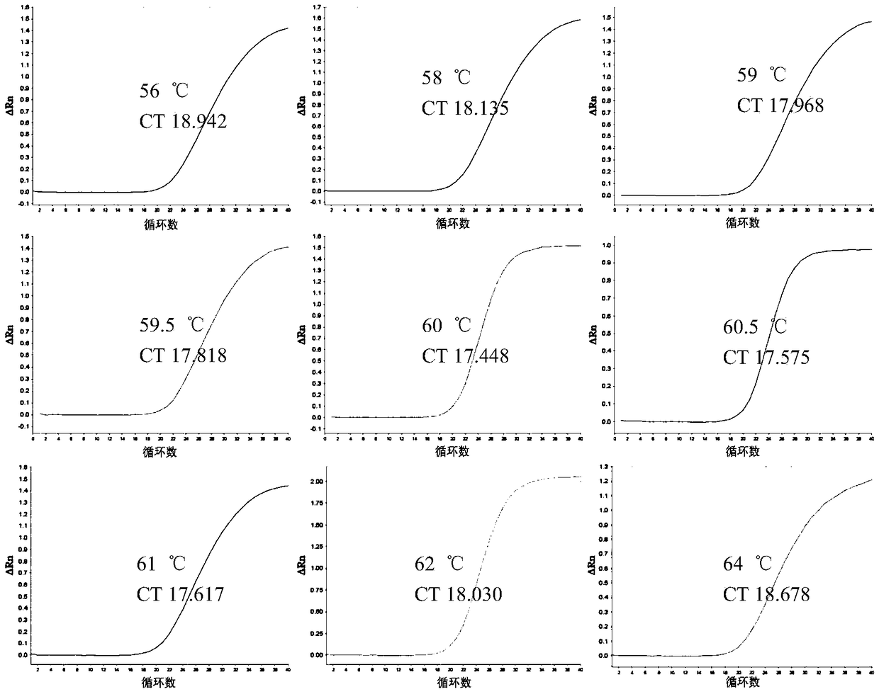 K196R gene-based African swine fever virus detection kit and detection method