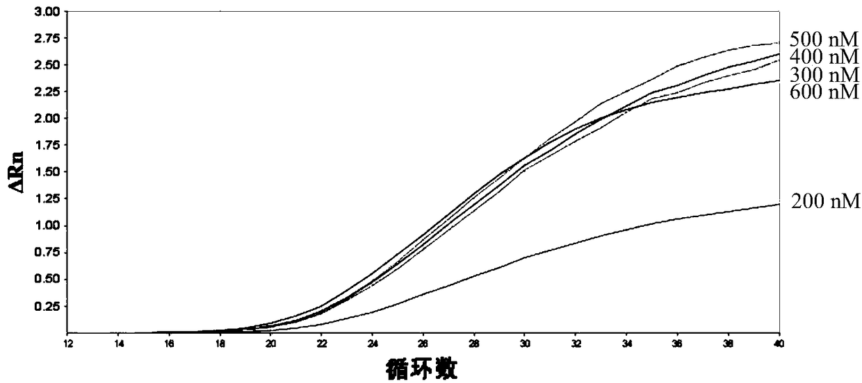 K196R gene-based African swine fever virus detection kit and detection method