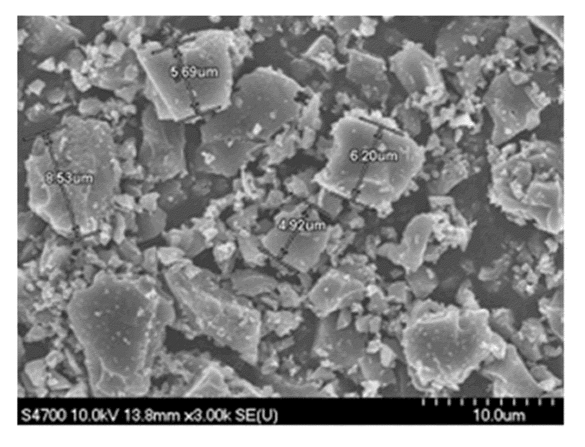 Electrode paste for solid oxide fuel cell, solid oxide fuel cell using the same, and fabricating method thereof