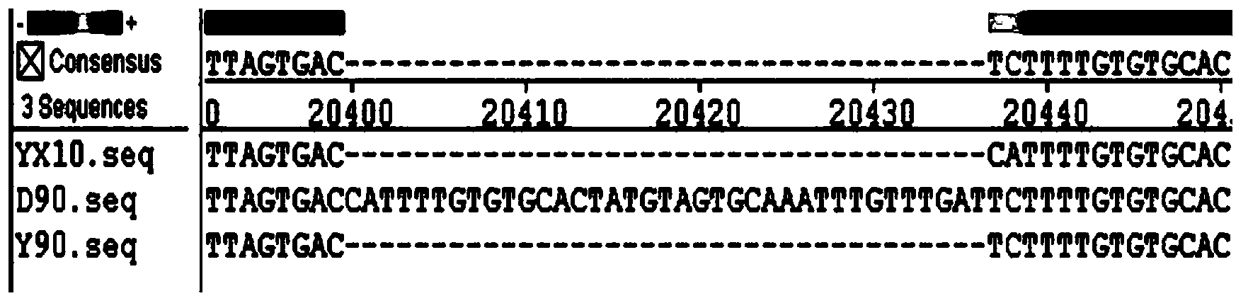 Attenuated method for fowl infectious bronchitis viruses